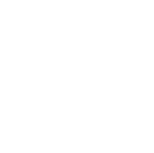 Logo JNJ Paris